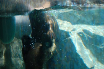 DSC_0151.JPG