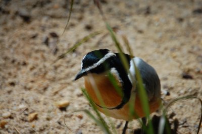DSC_0170.JPG
