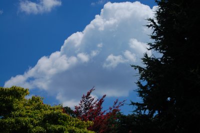 DSC_0245.JPG