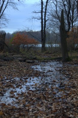 Mud