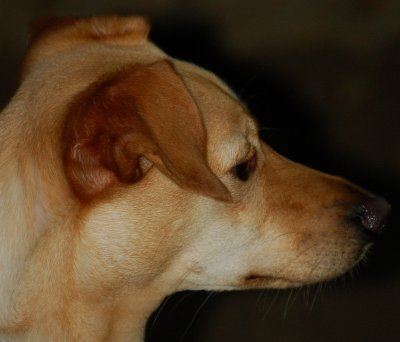 A Happy Profile