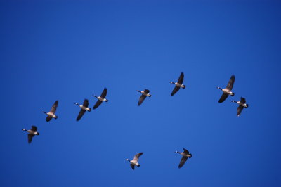 Landing Pattern