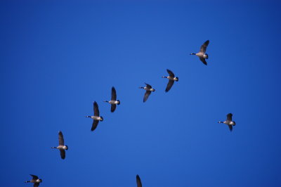 Landing Pattern 2
