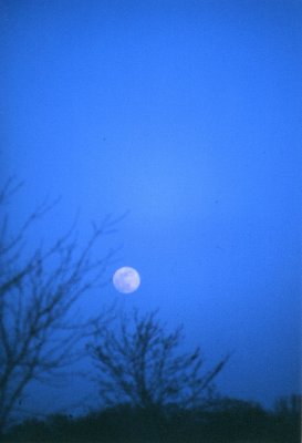 Moon Rise