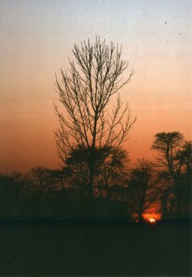 Sunset 1