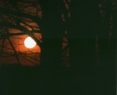 Sunset 2
