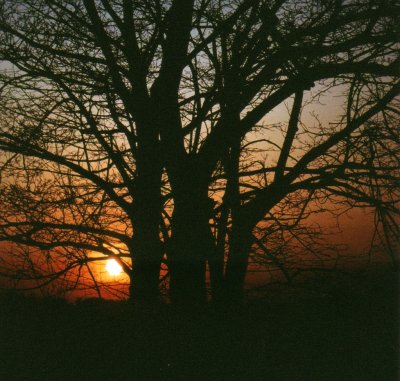 Sunset 3