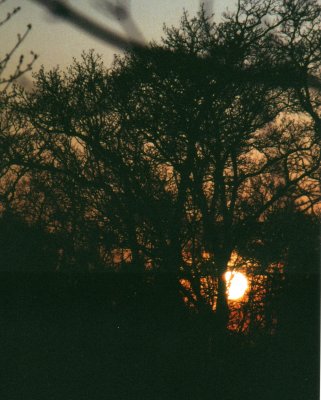 Sunset 4