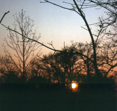 Sunset 5