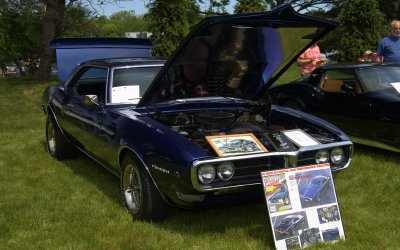 g3/63/898463/3/124792596.kQoCU3q9.jpg