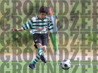 2J0D0226-copy.jpg