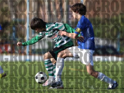 2J0D0077-copy.jpg