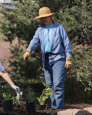 Herb Garden Planting (2450)