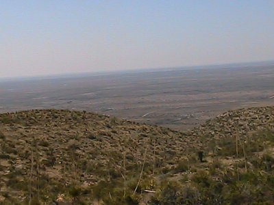 SW Cactus 3 Southern NM