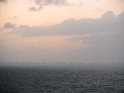 Miami Skyline 3