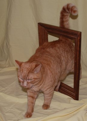 Frame Cat 3