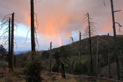 Rainbow under a forest fire Arizona