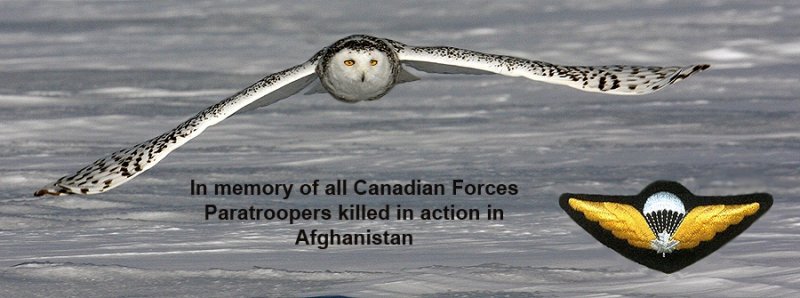 In Memory Of All Canadian Forces Paratroopers Killed In Action In Afghanistan