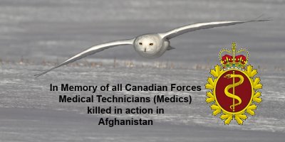 In Memory Of All Canadian Forces Medical Technicians (Medics) Killed In Action In Afghanistan