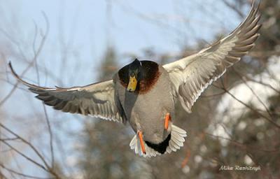 Navigating The Branches