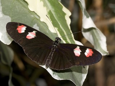 IMG_9000 copyLR.jpg
