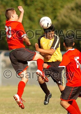 Soccer 2008