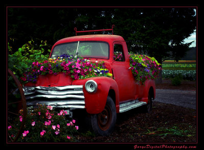 flower_truck_5569.jpg