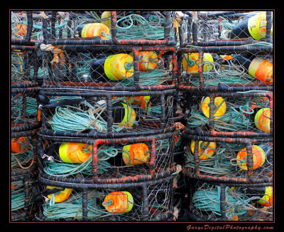 crab_pots01_8024.jpg