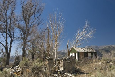 UMR House Ruins