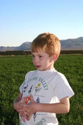 A Boy Out standing in his field