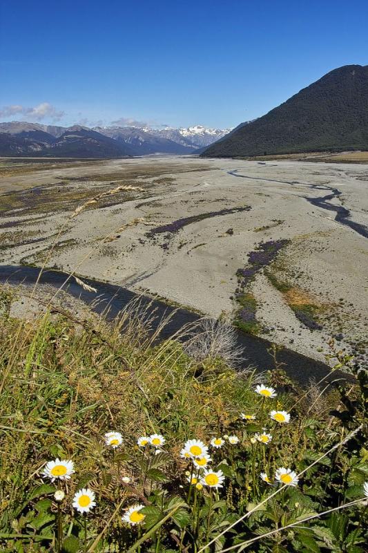The upper Waimakariri River