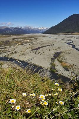 The upper Waimakariri River