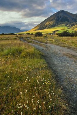 The Track - Mt Cotton