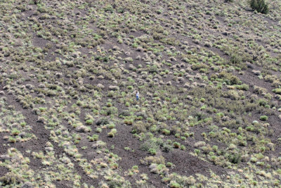 This was fun to descend although my technique definitely hastens erosion--sorry little SP Crater guy!