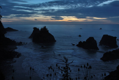 Oregon Coast, 2010