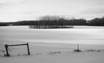 Winter Landscape