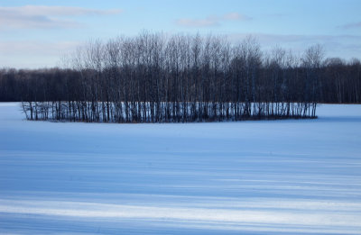 Winter Landscape