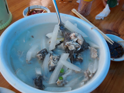 P5151317.jpg