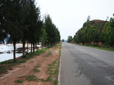 P5151364.jpg