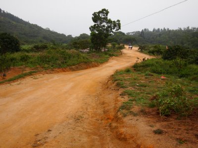 P5161543.jpg