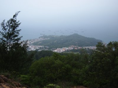 P5161551.jpg