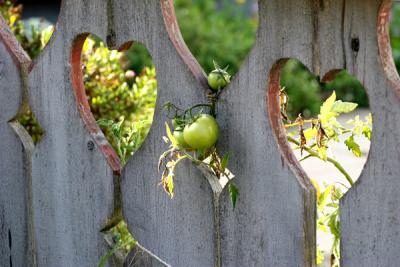 IMG_6871web.jpg
