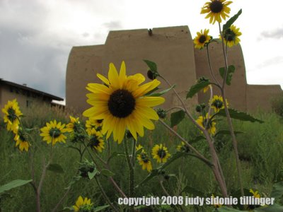 with sunflowers 32