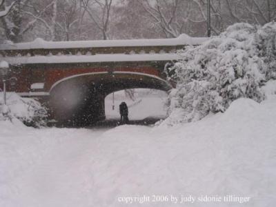 g3/64/367264/3/56061261.2.12.06snowcentralpark80lovers.jpg