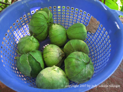 tomatillos