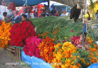 marigold and coxcomb