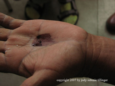 Isaac shows us the colors of cochineal