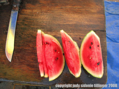 4012008_nebaj4 watermelon