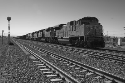 UP8417.jpg