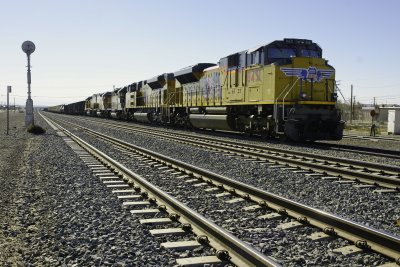 up8431-color.jpg